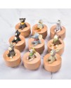 仰望星空 動物 旋轉圓形 音樂盒 MUSIC BOX (一套9個)